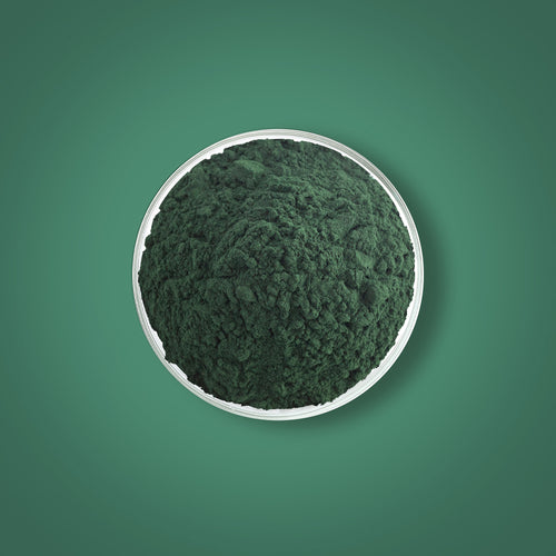 Rucest™Spirulina Powder (Organic), 16 oz (454 g) Bottle