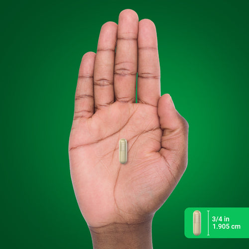 Rucest™Super Fruits and Veggies, 60 Vegetarian Capsules