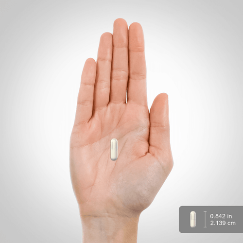 Rucest™Probiotic 14 Strains 50 Billion Organisms (per serving) plus Prebiotic, 50 Vegetarian Capsules